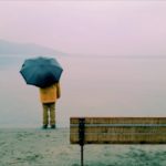 9月に植え付ける野菜